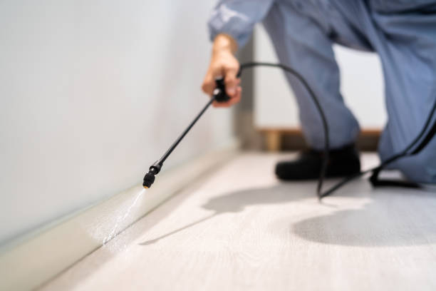 Licensed Pest Control service in Downs, IL - Nex Pest Control