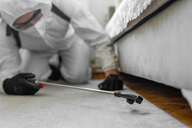 Professional Pest Control technician working in Downs, IL