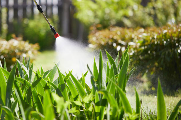 24/7 Emergency Fumigation Services experts in Downs, IL