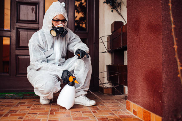 Reliable Fumigation Services contractor in Downs, IL by Nex Pest Control
