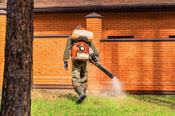 Trusted Termite Control service in Downs, IL - Nex Pest Control